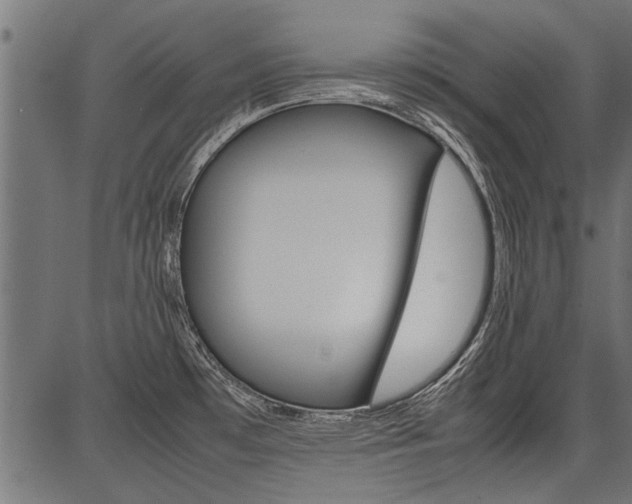 X0000086741481200704130720