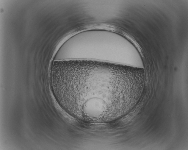 X0000086741483200704130720