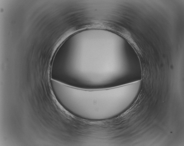 X0000086741484200704130720
