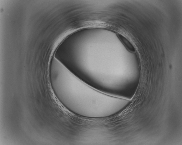 X0000086741488200704130719