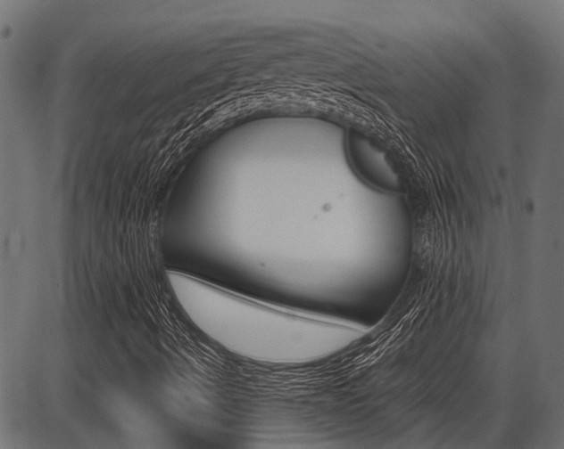X0000086741490200704130719