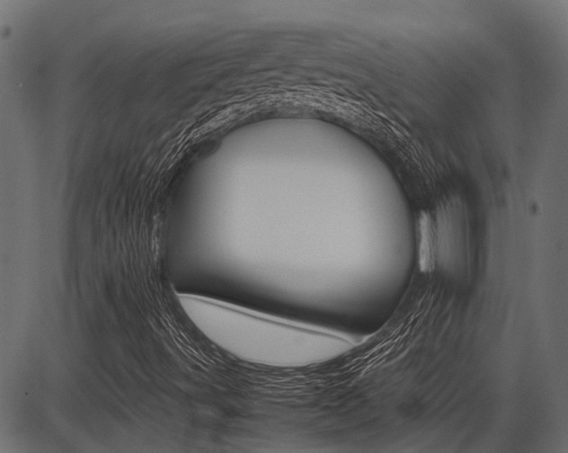 X0000086741491200704130719