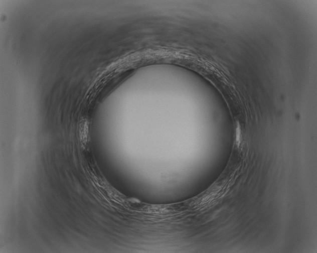 X0000086741492200704130719