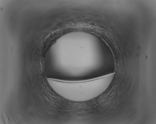 X0000086741493200704130719