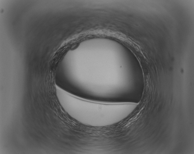 X0000086741494200704130719