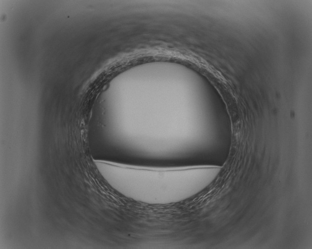 X0000086741495200704130719