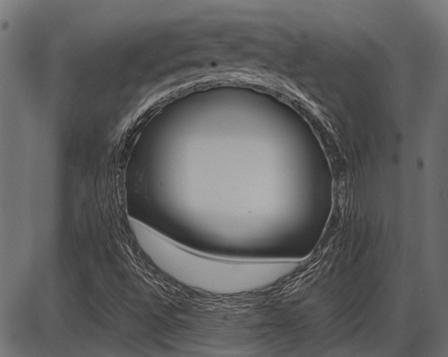 X0000086741496200704130719