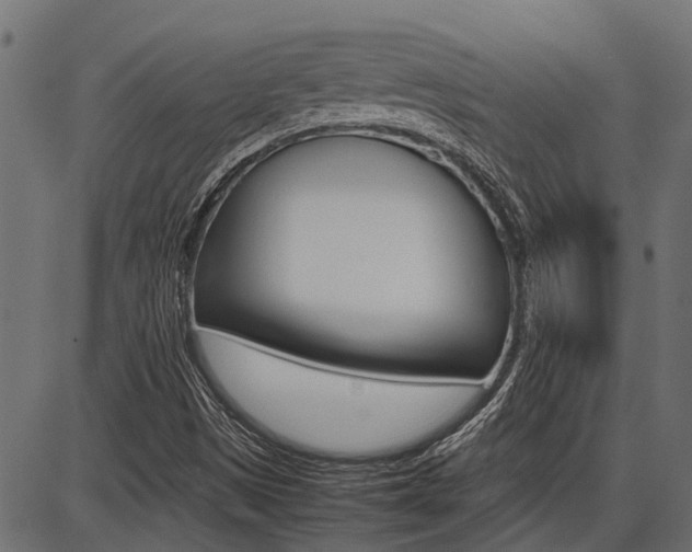 X0000086741497200704130719