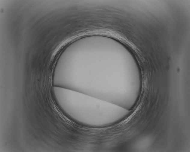 X0000086741498200704130719