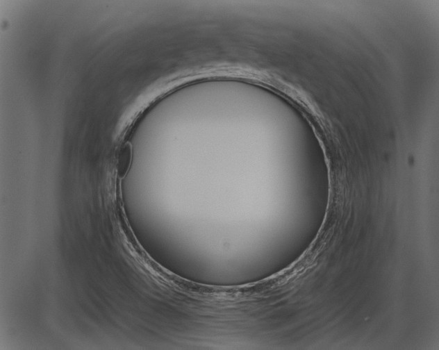 X0000086741504200704130719
