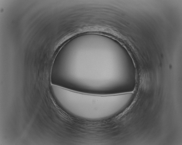 X0000086741505200704130719