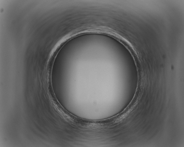 X0000086741506200704130719