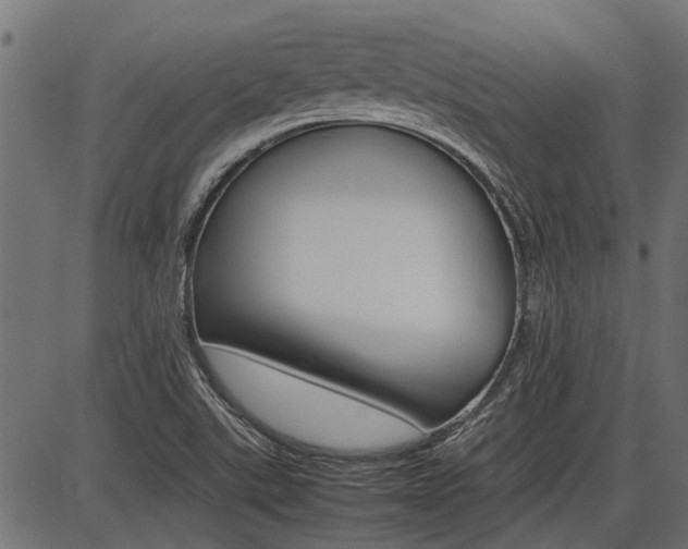 X0000086741507200704130719