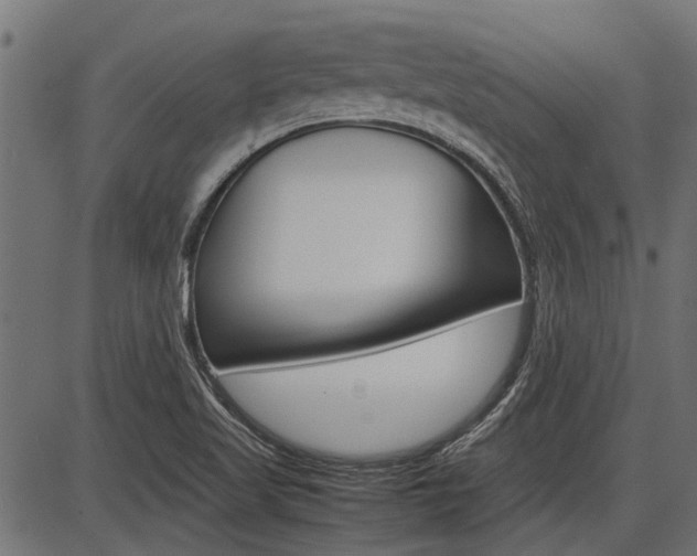 X0000086741509200704130719