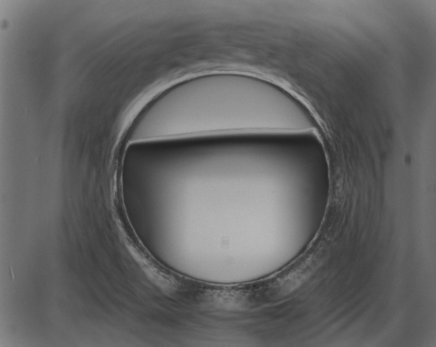 X0000086741511200704130719