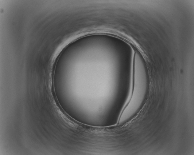 X0000086741512200704130719