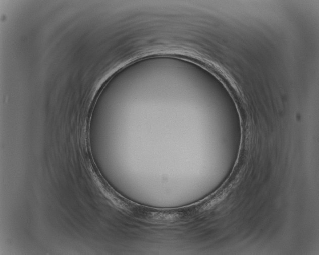 X0000086741513200704130719