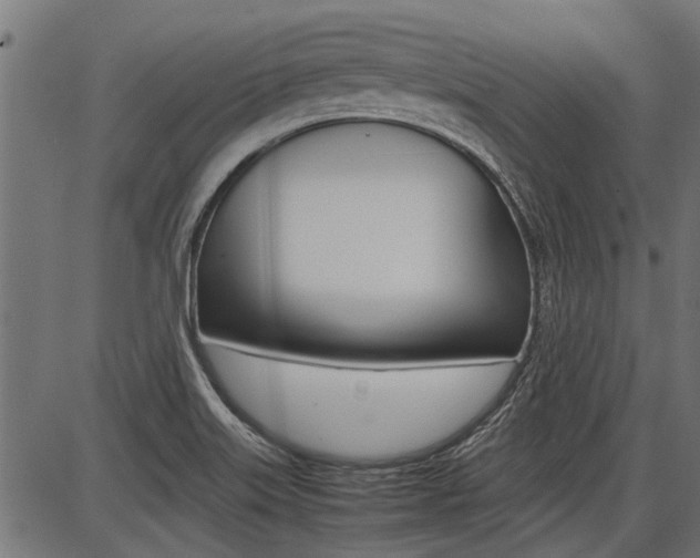 X0000086741515200704130719