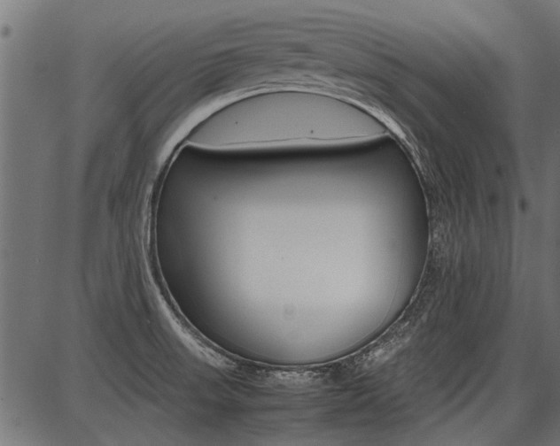 X0000086741523200704130719