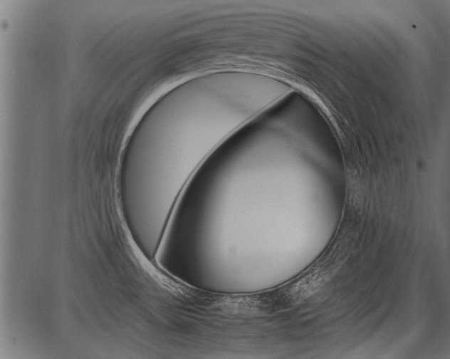 X0000086741531200704130719