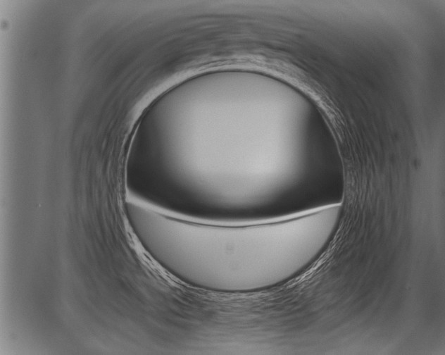 X0000086741534200704130719