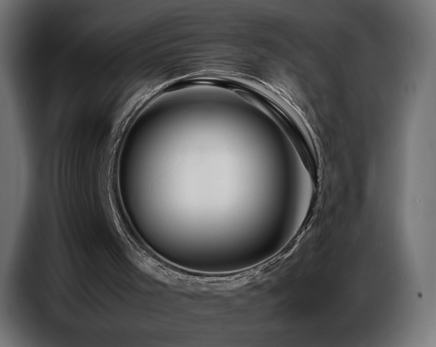 X0000086740001200704131139