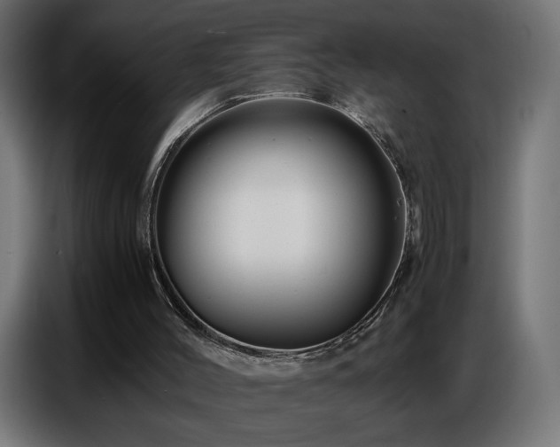 X0000086740004200704131139