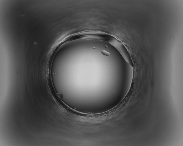 X0000086740005200704131139