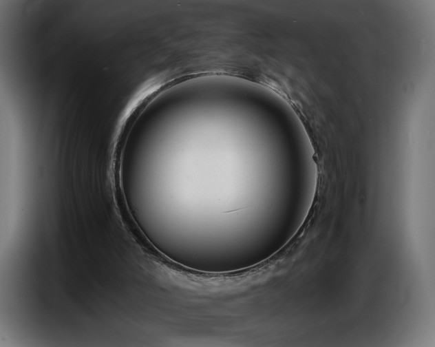 X0000086740006200704131139