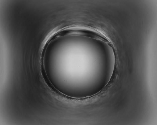 X0000086740007200704131139