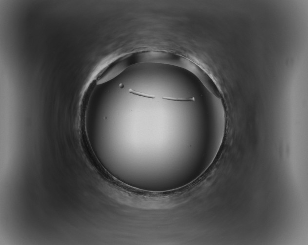 X0000086740008200704131139
