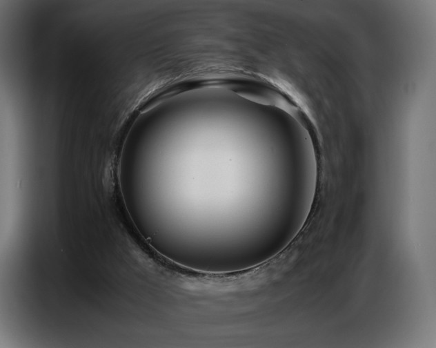 X0000086740009200704131139