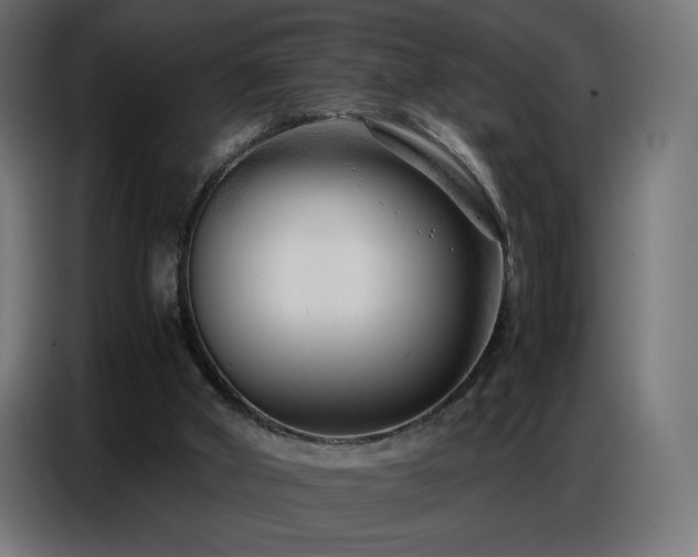 X0000086740010200704131139