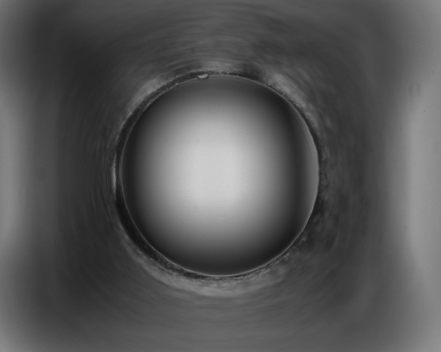 X0000086740011200704131139