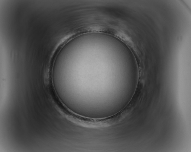 X0000086740012200704131139