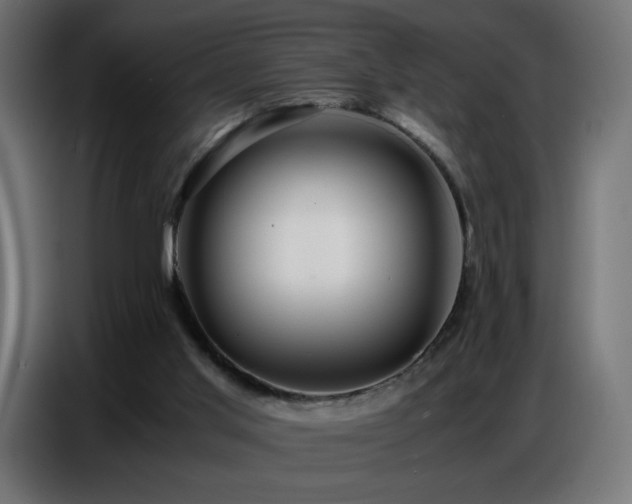 X0000086740013200704131139