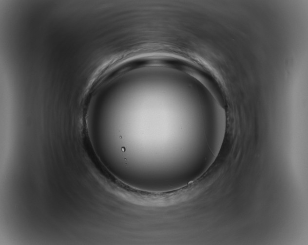X0000086740015200704131139