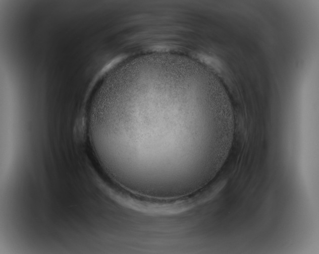 X0000086740016200704131139