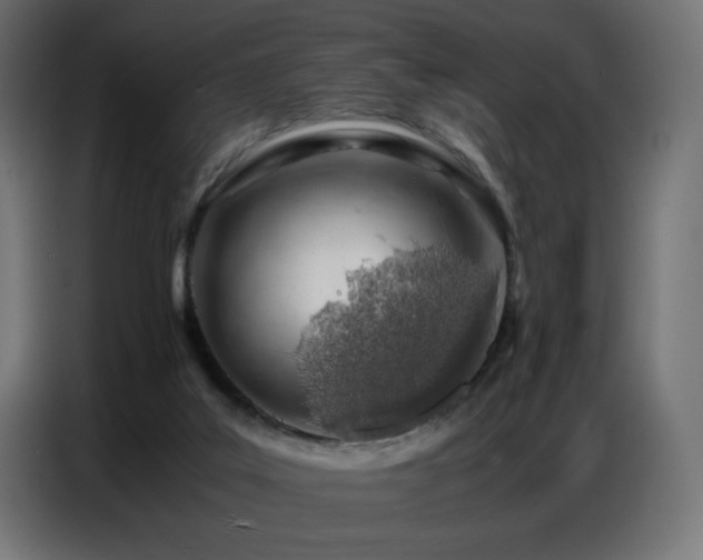 X0000086740019200704131139