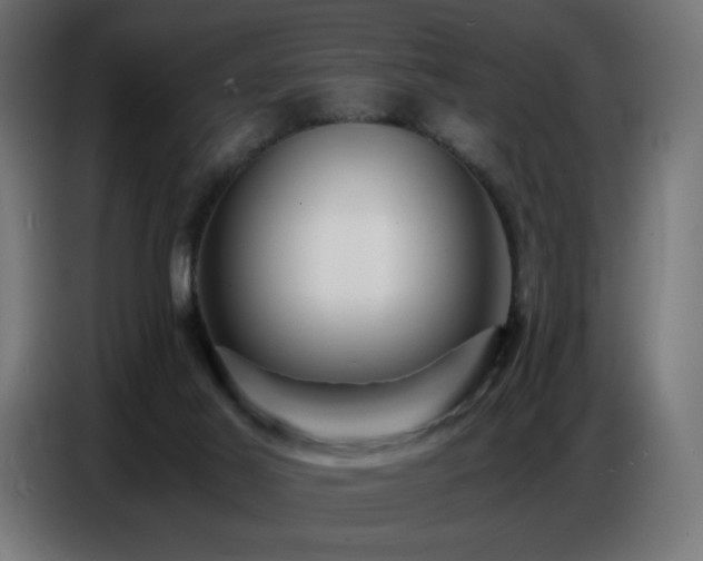 X0000086740021200704131139