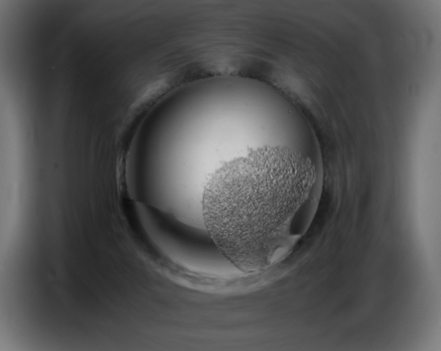 X0000086740023200704131139