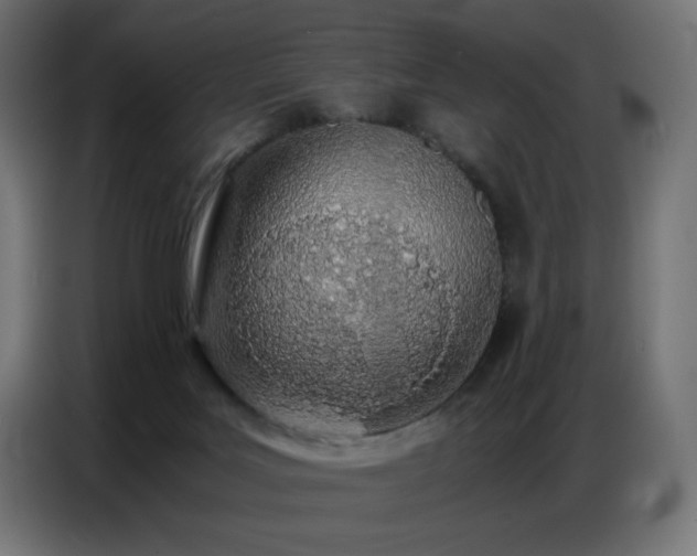 X0000086740027200704131139