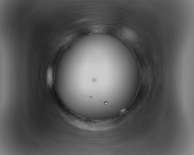 X0000086740028200704131139