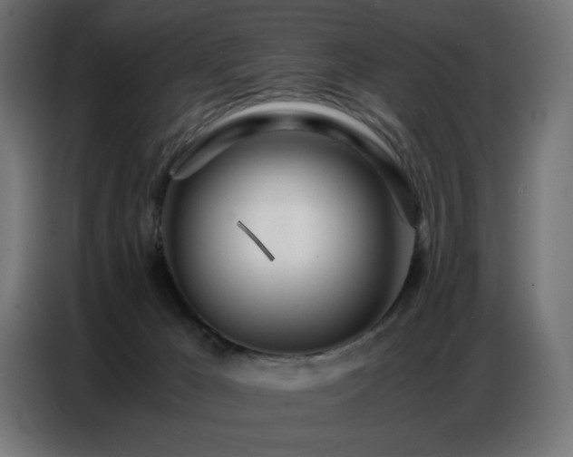 X0000086740029200704131139