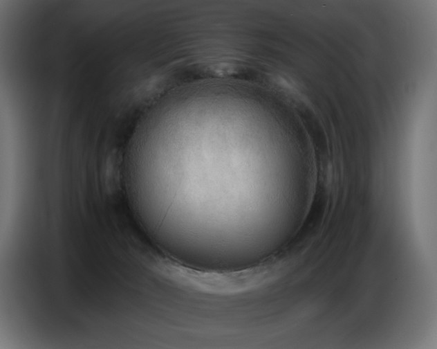 X0000086740030200704131139