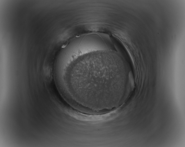 X0000086740031200704131139