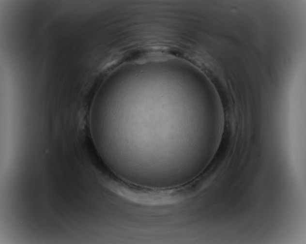 X0000086740032200704131139
