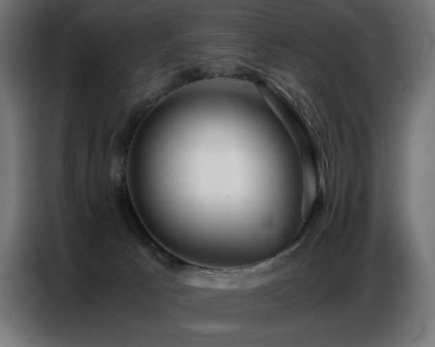 X0000086740033200704131139