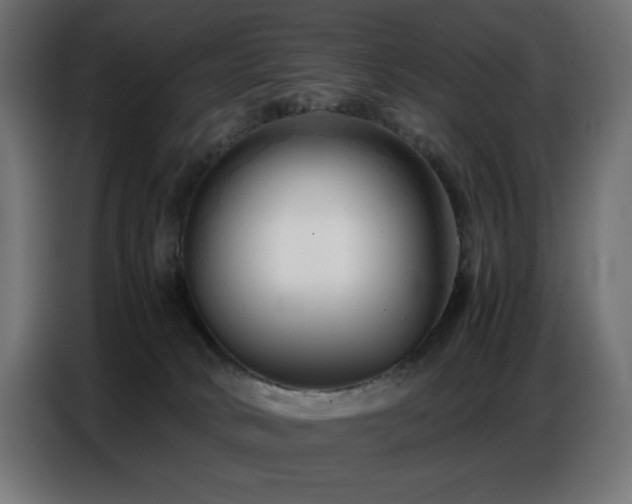 X0000086740034200704131139