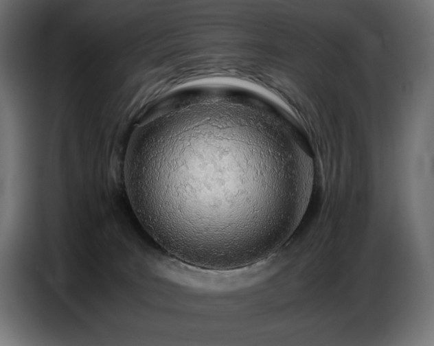 X0000086740035200704131139